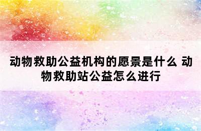 动物救助公益机构的愿景是什么 动物救助站公益怎么进行